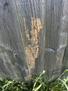 Close-up of wood damage on a fence post, likely from termites or other pests, indicating a need for Reliable Pest Management in Springfield, MO.