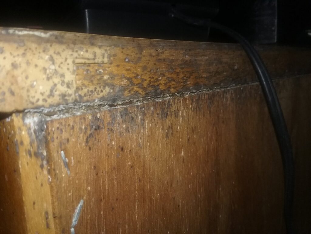 Close-up of wood damage, likely from termites or other pests, indicating a pest control inspection by Premier Pest Management in Yonkers, NY.