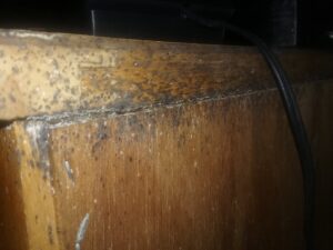 Close-up of wood damage, likely from termites or other pests, indicating a pest control inspection by Premier Pest Management in Yonkers, NY.