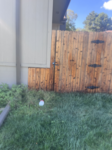 A newly installed or cleaned wooden fence gate by 4Seasons Pools & Pressure Washing in Omaha, NE.