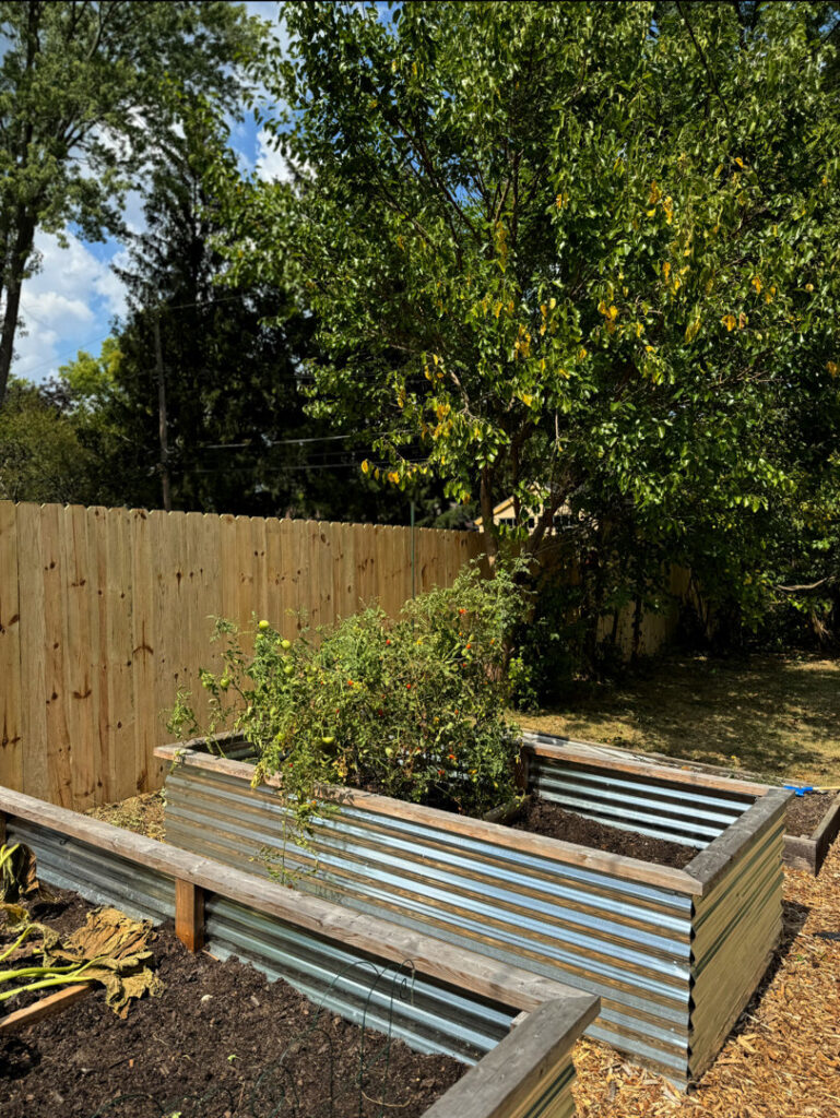 A new wood fence providing a backdrop for raised garden beds in a backyard, installed by ReliableFencing in Columbus, OH.