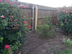 A wooden fence undergoing repair with a new post and metal support by T&G Outdoor Services in Austin, TX.