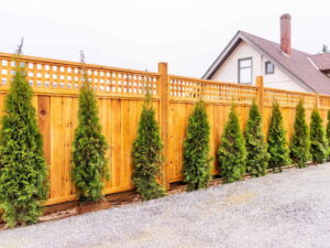 A wood fence with a decorative lattice top, installed by OneGuard Fencing in Vestavia Hills, AL.