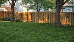 A wood privacy fence installed in a backyard with mature trees by Royal Fence & Design LLC in Olathe, KS.