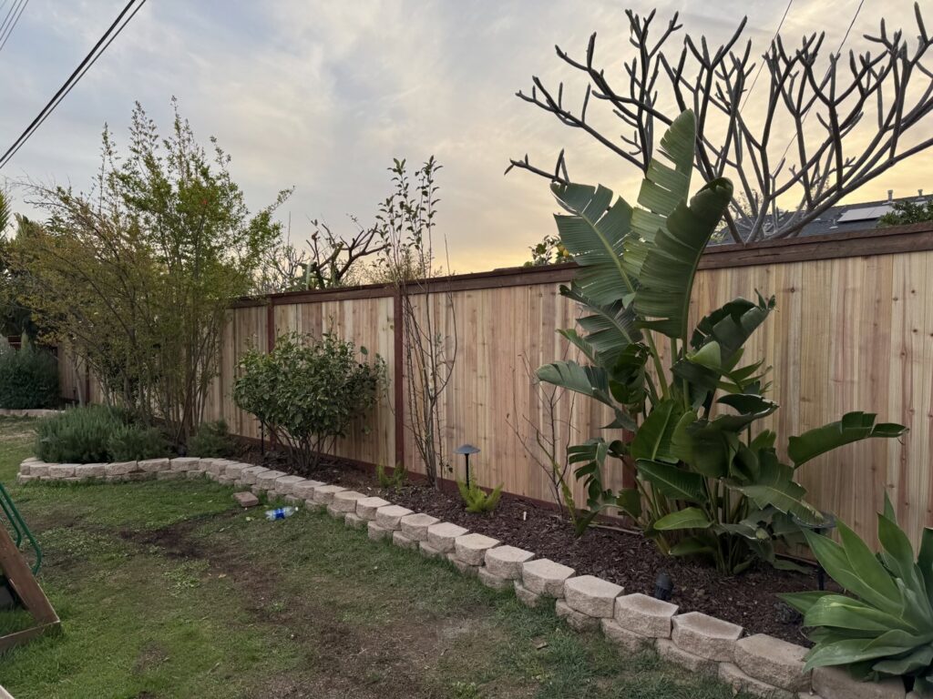 A newly installed natural wood privacy fence enhancing a backyard with lush landscaping by True American Fence Supply and Construction in Anaheim, CA.