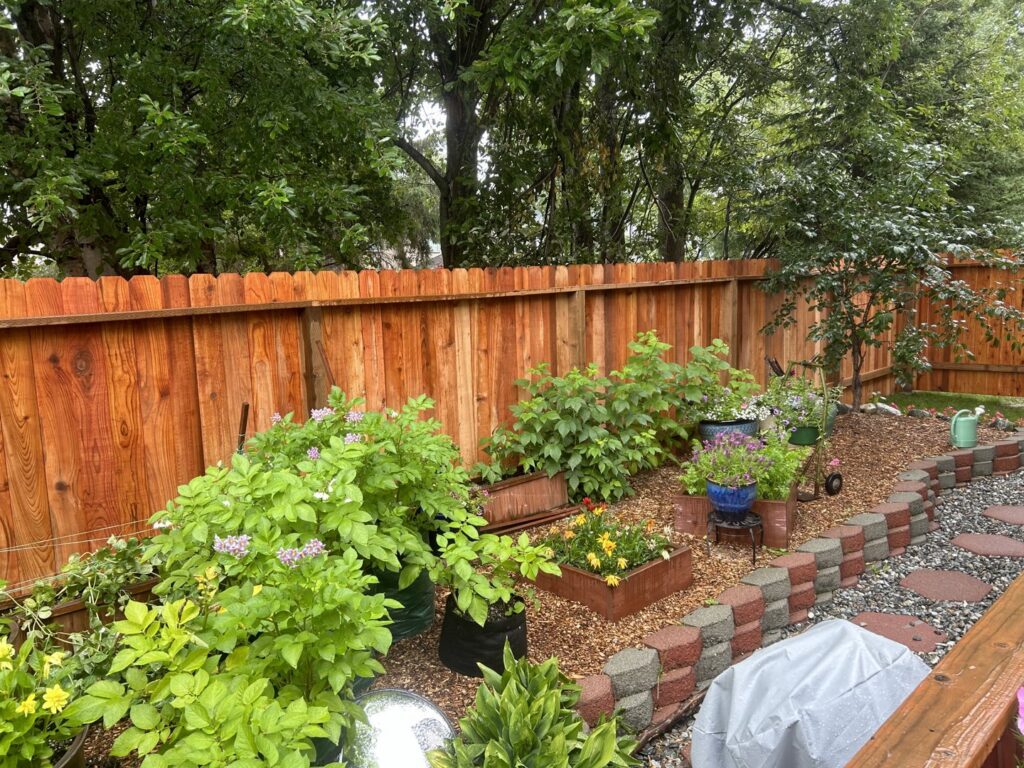 A new wood privacy fence installed behind a vibrant garden in a backyard, by Five Star Fence Co. in Anchorage, AK.
