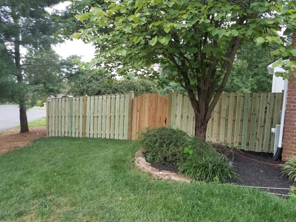 A wood privacy fence with a gate installed around a tree in a residential yard by Master Fences in Gaithersburg, MD.