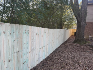 A newly installed wood privacy fence running alongside a large tree by Precision Contracting LLC in Jupiter, FL.