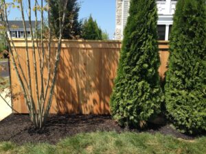 A newly installed wood privacy fence with a decorative top trim by Raatz Fence Company in Louisville, KY.