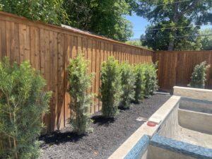A newly installed wooden fence alongside a pool area with fresh landscaping by Backyard Builders in Rockford, MI.