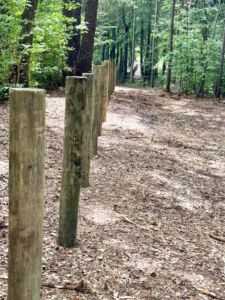 Newly installed wooden fence posts in a line by Smith Land and Farm in Mansfield, GA