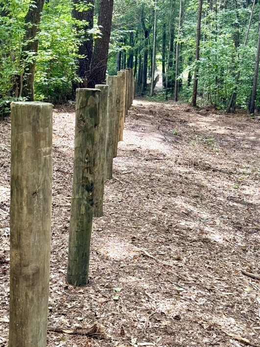 Newly installed wooden fence posts in a line by Smith Land and Farm in Mansfield, GA