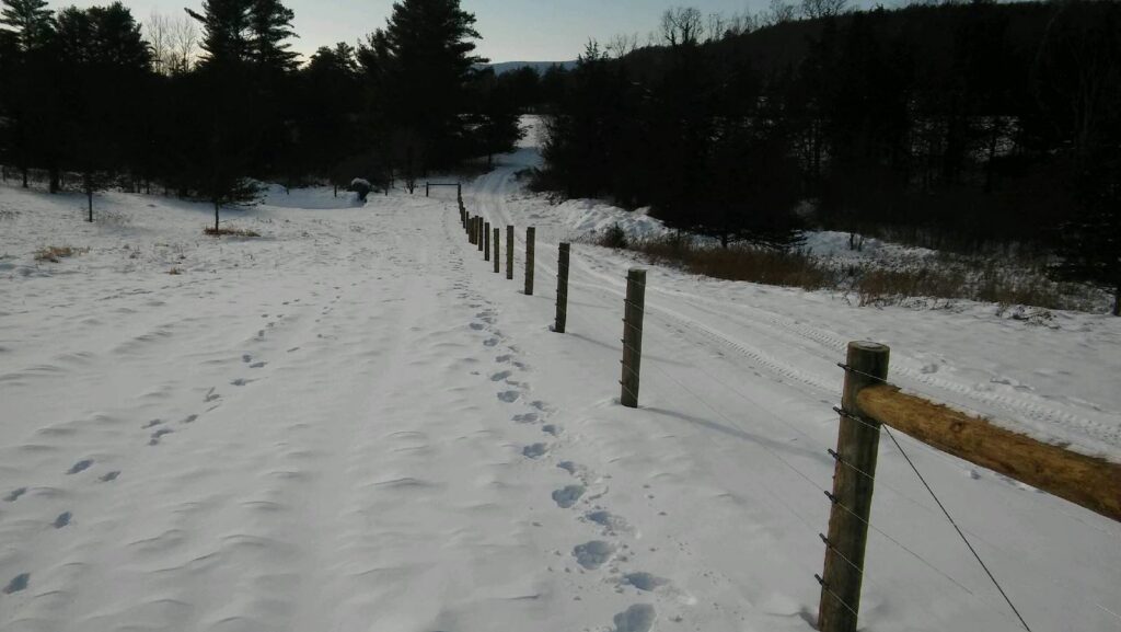 Wooden fence posts with wire installed in a snowy field by 802 Fence Company LLC in Shoreham, VT.
