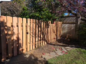A charming wooden picket fence with a gate, expertly installed in a garden by West Coast Fencing in Coos Bay, OR.