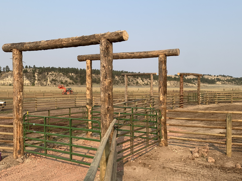 Newly installed wooden post and rail fencing with green metal gates by Shield Fencing, LLC in Greeley, CO.