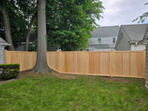 A custom wooden privacy fence expertly installed around a large tree by Homestead Fence in Cumberland, RI.