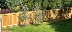 A newly installed wooden privacy fence in a residential backyard by Crows Quality Fencing in Spokane Valley, WA.