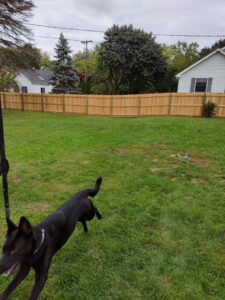A newly installed wooden privacy fence enclosing a spacious backyard by Metrofence in Grand Rapids, MI.