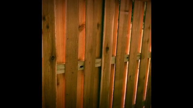 A close-up view of a sturdy wooden privacy fence, showcasing the quality craftsmanship of Superior Fence Co. of San Antonio, TX.