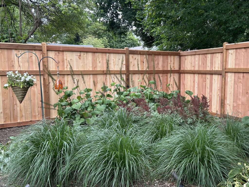 A newly installed wooden privacy fence enclosing a lush garden bed by Chisel + Vine in Milwaukee, WI.
