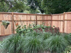 A newly installed wooden privacy fence enclosing a lush garden bed by Chisel + Vine in Milwaukee, WI.