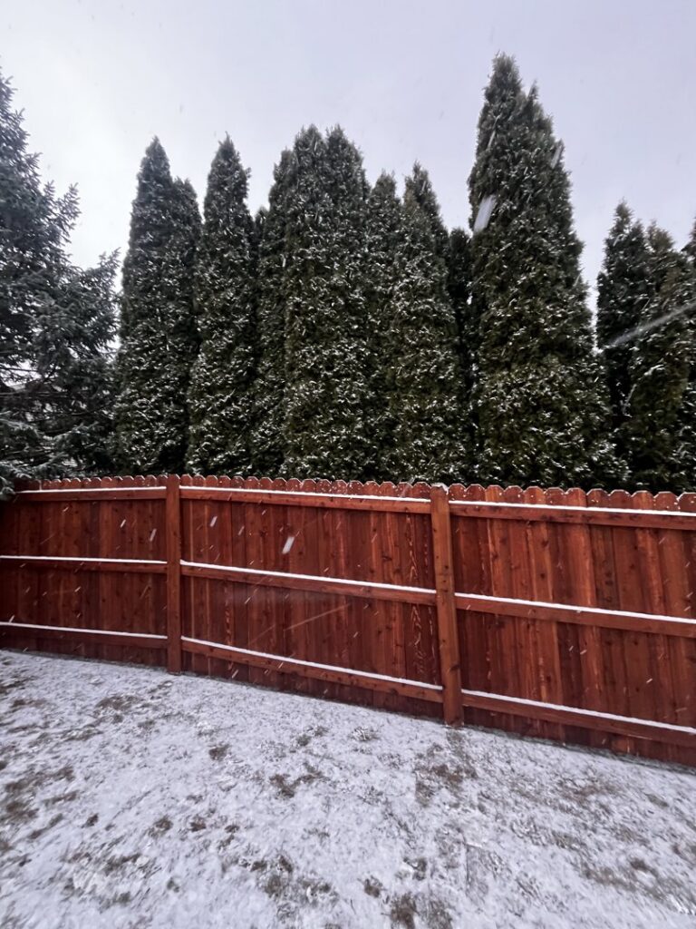 A wooden privacy fence with a gate installed next to a driveway by Brothers Fence Co. in Madison, WI.