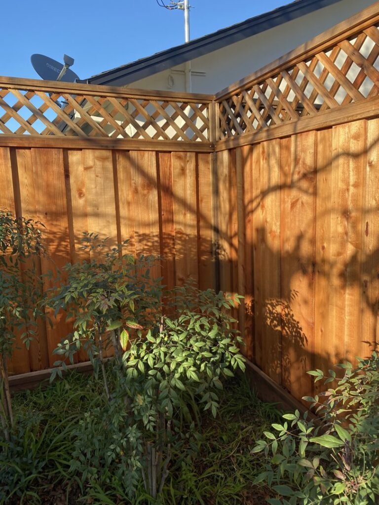 A wooden privacy fence with a lattice top section installed in a residential yard by Superior Fence & Rail in San Jose, CA.