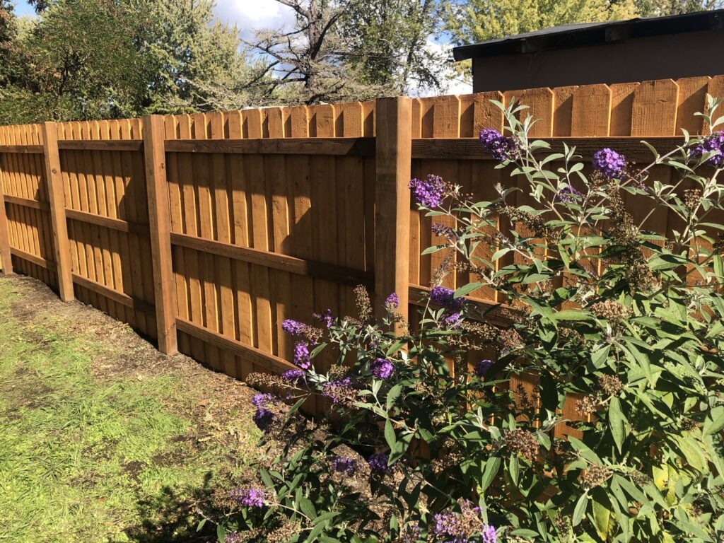 A newly installed wooden privacy fence with decorative top rails by Pacific Woods Fence and Deck in Springfield, OR.