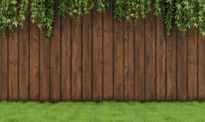 A sturdy wooden privacy fence with green foliage hanging over, installed by Fence Company Chicago in Chicago, IL