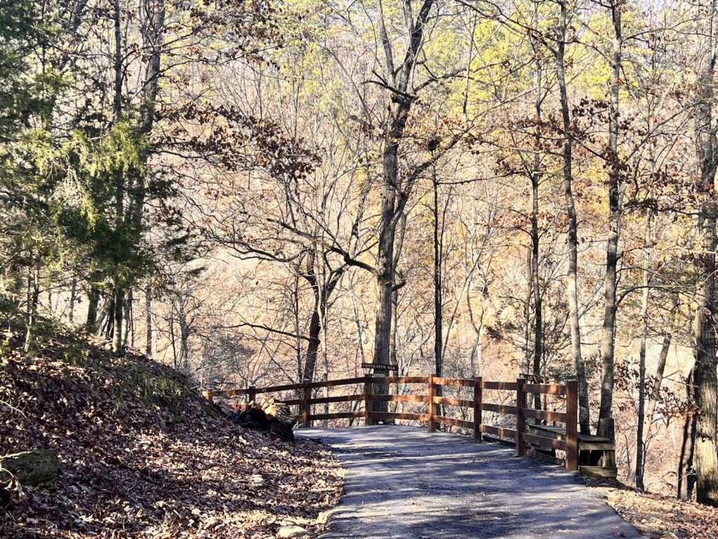 A wooden railing along a paved path in a wooded area, installed by Superior Fence and Rail of Little Rock, AR
