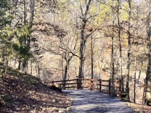 A wooden railing along a paved path in a wooded area, installed by Superior Fence and Rail of Little Rock, AR