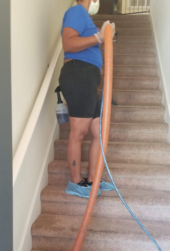 A professional worker cleaning carpeted stairs with specialized equipment from J&R Carpet & floor care in Orlando, FL.