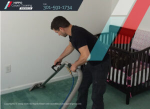 A worker professionally cleaning a green carpet in a nursery with a specialized machine for Hippo Cleaning Services in Rockville, MD.