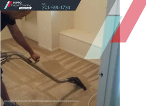 A worker professionally cleaning a light brown carpet with a specialized machine for Hippo Cleaning Services in Rockville, MD.
