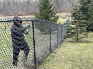 A worker installing a black chain-link fence in a residential or commercial property by STILL Fencing in Rochester, NY.
