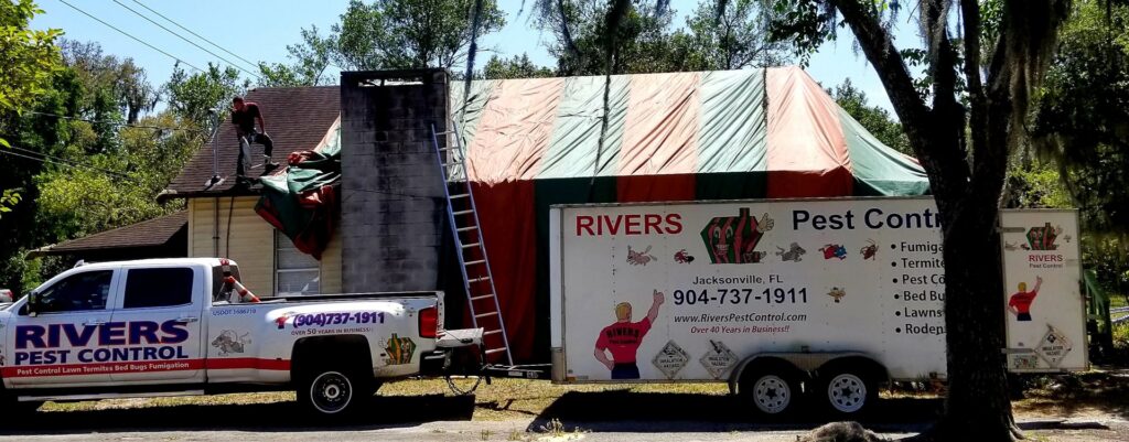 A worker on the roof of a house covered in a fumigation tent, with a Rivers Pest Control truck and trailer nearby in Jacksonville, FL
