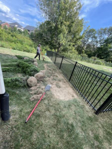 A King Lawn Care worker planting new shrubs and trees along a fence line in Alexandria, VA.