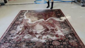 A worker spraying cleaning solution onto a large ornate rug, creating foam, at Advanced Cleaning Systems in Atlanta, GA.