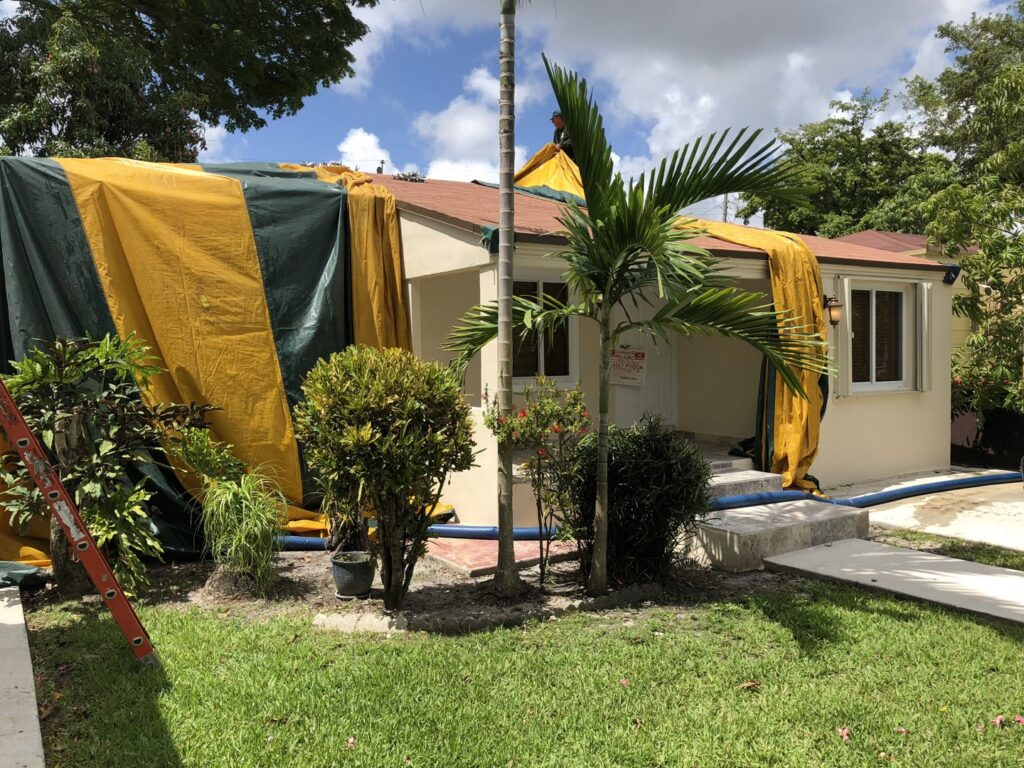 A worker on the roof tarping a house for fumigation services by Globe Pest Inc in Miami, FL.