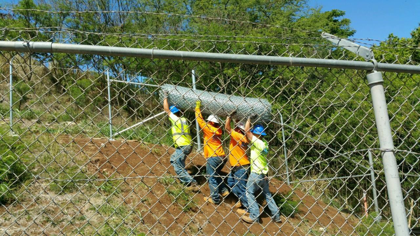 Workers installing a chain-link fence with barbed wire on a hillside for David's Fencing Inc. in Waipahu, HI.