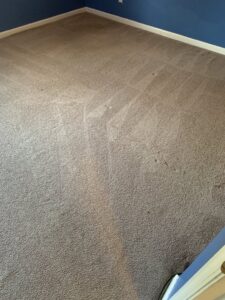 A worn and dirty carpet in a room before professional cleaning by 843Steamers in Summerville, SC.