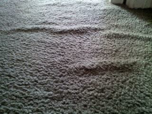 A close-up view of a wrinkled and loose carpet, indicating a need for professional carpet stretching by Huntsville Carpet Tech in Huntsville, AL.
