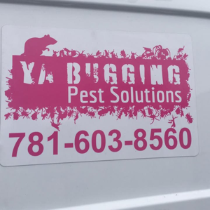 Ya Bugging Pest Solutions