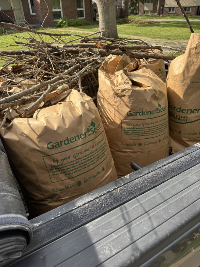 Yard cleanup with paper bags and tree branches in a truck bed by Bramble Clean Cut Lawn Care LLC in Independence, MO.