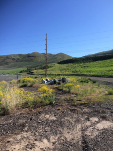 Rural landscape showing yellow flowering weeds, indicating an area needing vegetation control from A2Z Vegetation and Pest Management in Pocatello, ID