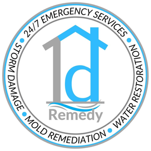 1d Remedy LLC