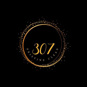 307 Pristine Clean, LLC
