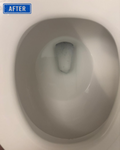 A sparkling clean toilet bowl after professional cleaning by Top Tier Philly in Philadelphia, PA.