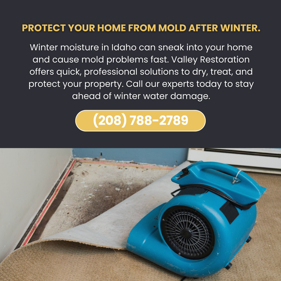 An air mover drying a partially rolled-up carpet after water damage at a job site by Valley Restoration in Arbuckle, CA.