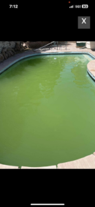 An algae-infested green pool before professional cleaning by Vegas Integrity Pool Service in Las Vegas, NV.